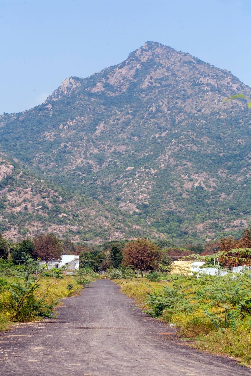 Girivalam Path