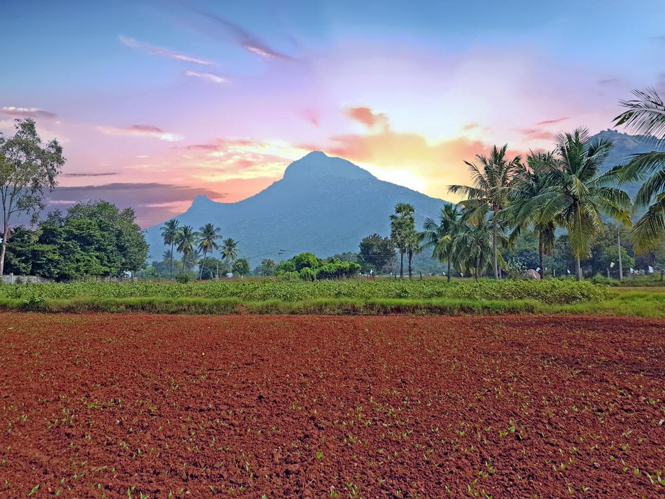  Arunachala Hill